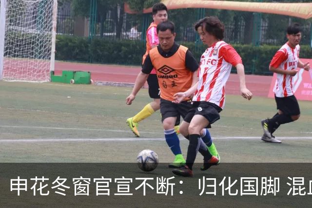 申花冬窗官宣不断：归化国脚 混血前锋 教练组有新人