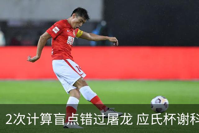 2次计算盲点错过屠龙 应氏杯谢科1点之差负一力辽